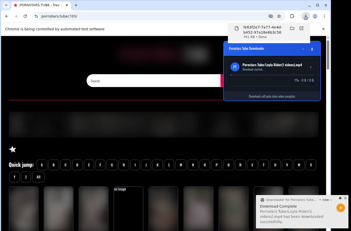 Pornstarstube Video Downloader screenshot 2