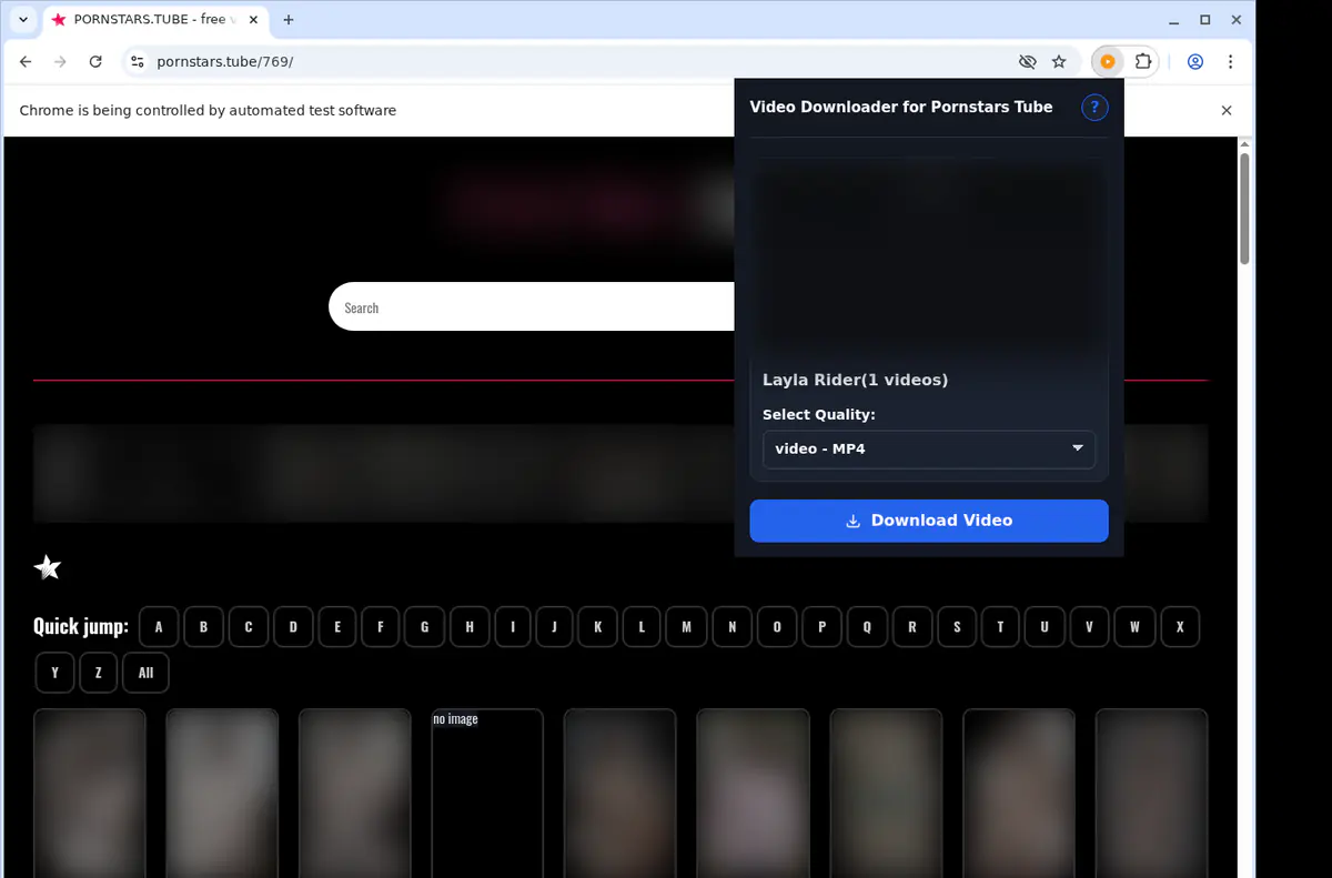 Pornstarstube Video Downloader screenshot 3